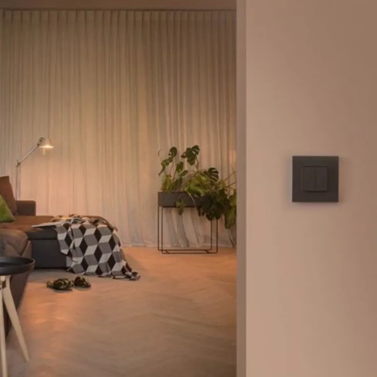 Outlet Pure kontakt/lysdæmper til Philips Hue, sort stål Lysdæmpere
