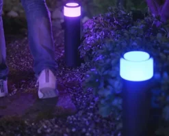 Online Calla bedlampe, , forlængersæt Philips Hue|Philips Hue