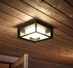Outlet Econic udendørs loft- & væglampe Philips Hue|Philips Hue