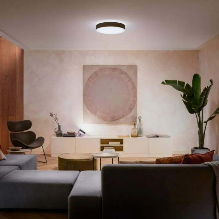 Online Enrave plafond, sort, Ø42 cm Philips Hue|Philips Hue
