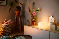 Discount Flourish bordlampe Philips Hue|Bordlamper