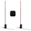 Hot Philips Hue Signe Gradient gulvlamper med Bridge Pro, sort, 2-pak Gulvlamper|Indendørs Belysning