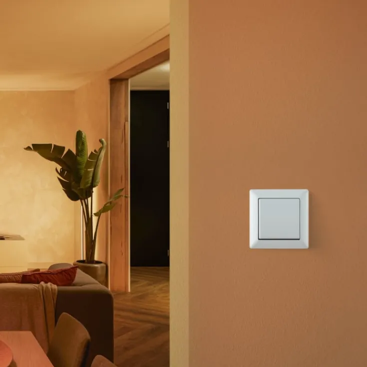 Sale Wall Switch til indbygning, Philips Hue|Philips Hue