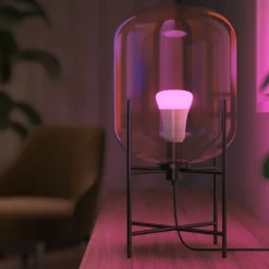 Sale White Color Ambiance E27 standardpære, 2000K-6500K, 6,5W, 2-pak Lyskilder|Philips Hue