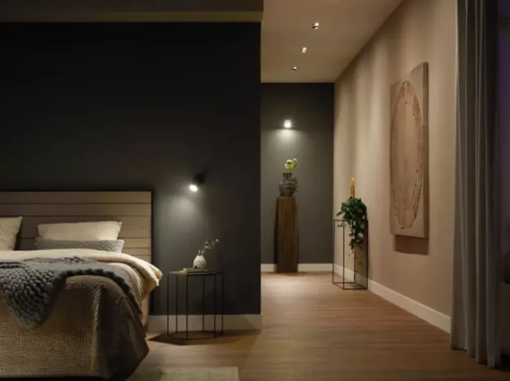 Online White GU10 spotpære, 2700K, 4,2W, 2-pak Lyskilder|Philips Hue
