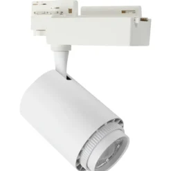 Rex 2 skinnespot 3F, Skinnespots