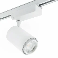 Rex 2 skinnespot 3F, Skinnespots