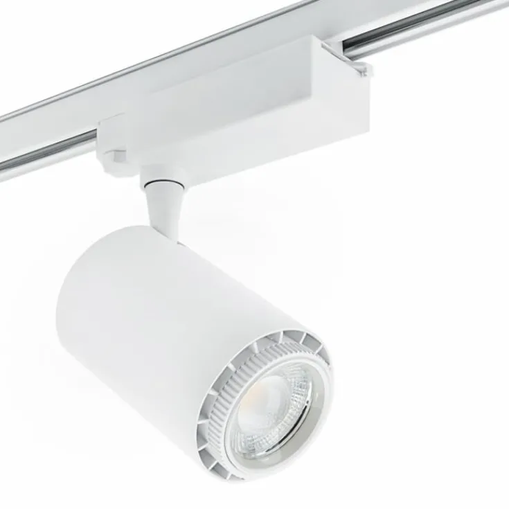 Rex 2 skinnespot 3F, Skinnespots