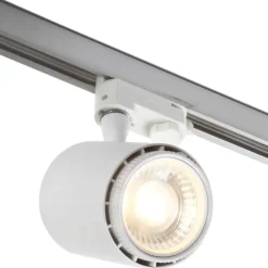 Rex 2 skinnespot 3F, Skinnespots