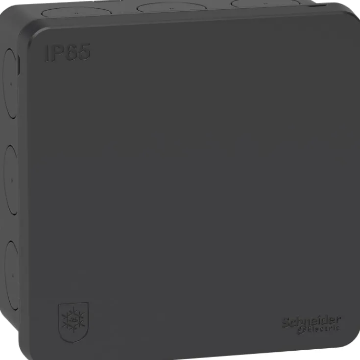 Online Schneider Mureva forgreningsdåse 87x87x42 mm, Samledåser|Schneider Electric