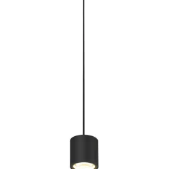 Oculus pendel, Slv