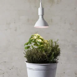 Discount E27 vækstpære, 1200K, 16W Led Pærer