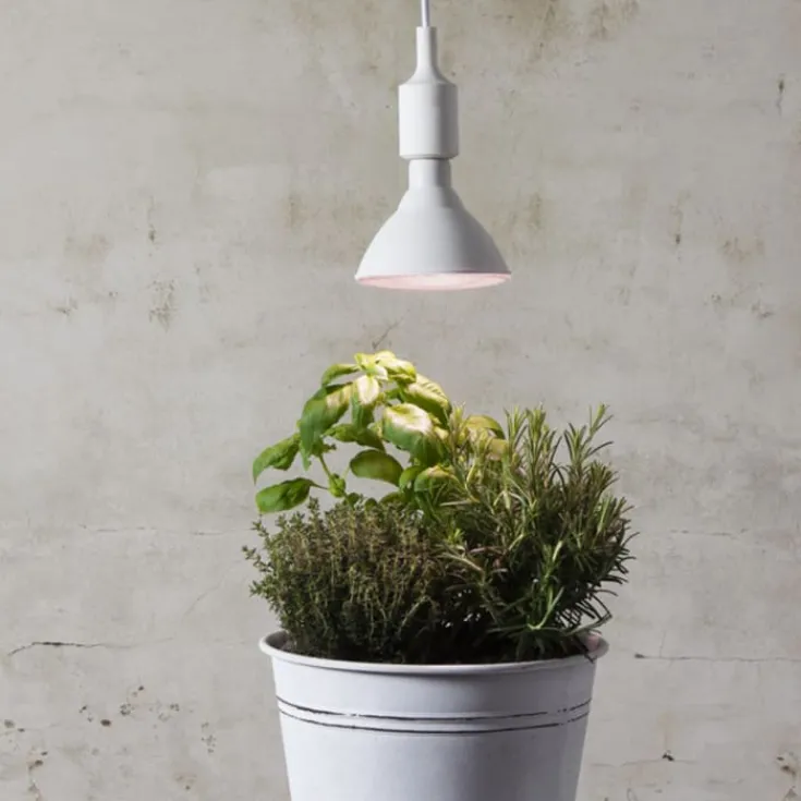 Discount E27 vækstpære, 1200K, 16W Led Pærer