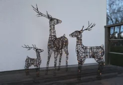 Clearance Vixen rensdyr, Udendørs Julelys