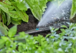 Clearance 6 stk micro-drip finregndyse smal, enkelt Vandingssystemer