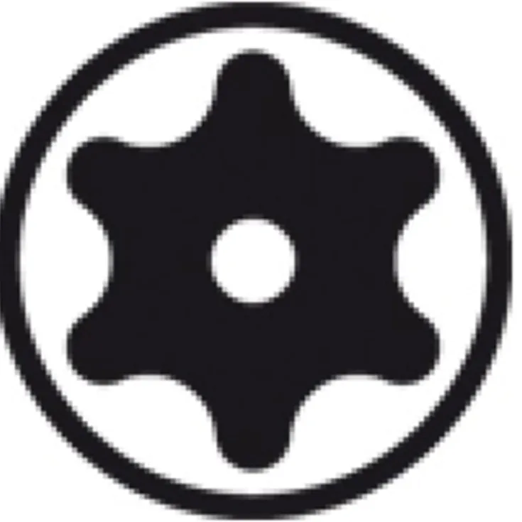 Best 5 stk torx25H bit med hul, 90 mm Bits, Toppe & Bor