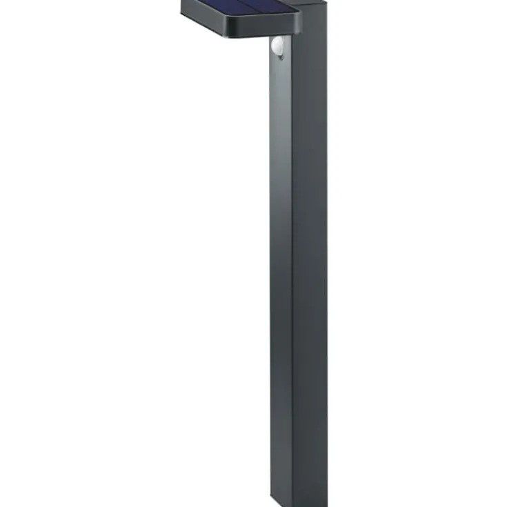New Esquel solcelle havelampe Solcellelamper|Havelamper